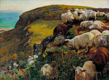 anglais Tableaux - William Holman Hunt Nos côtes anglaises 1852 moutons